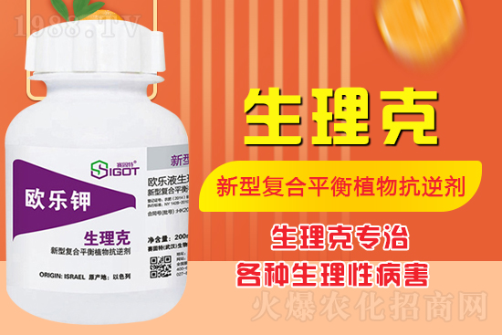 ����Ě������ʲô�Y������ô��Q����Ě������