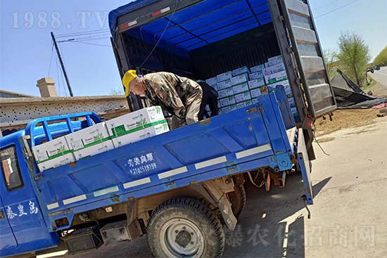 ���N��Ʒ����(sh��)���S��������2̖�l(f��)؛��ͣЪ