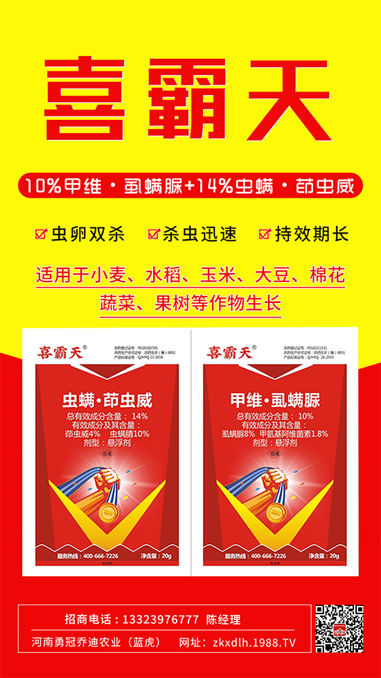 С�˶��������xΣ����̫�y���@����ˎ��һ��һ����!