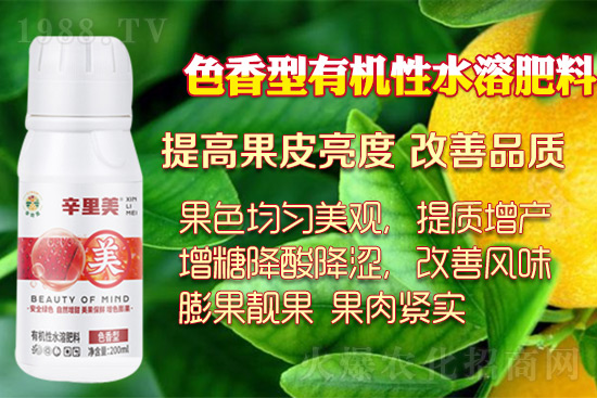 ������ɫ�������ĺÎ�����������ɫ�������磡