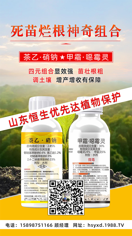 根腐、立枯、死苗爛根導(dǎo)致作物的“元兇”！這樣防治輕松搞定！