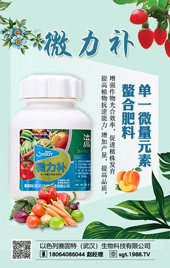 ���ι���С�~���S�~����������������