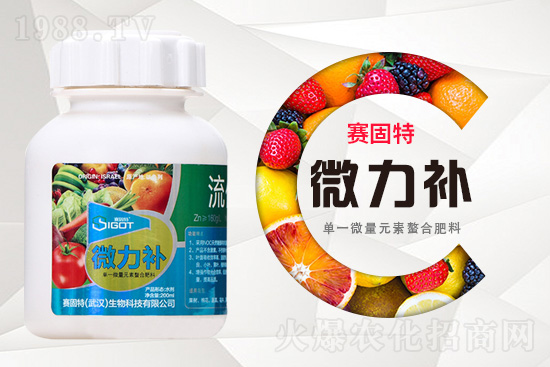 ���ι���С�~���S�~����������������