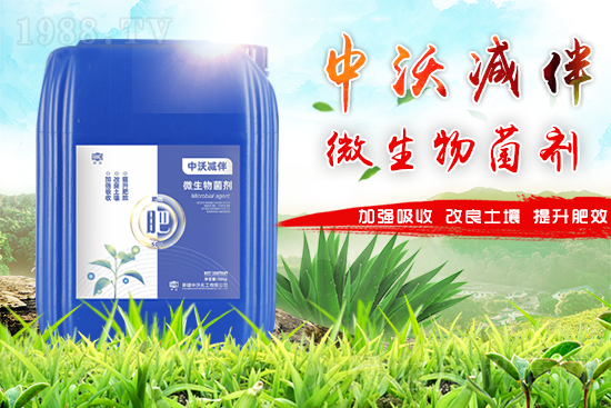 ΢�������