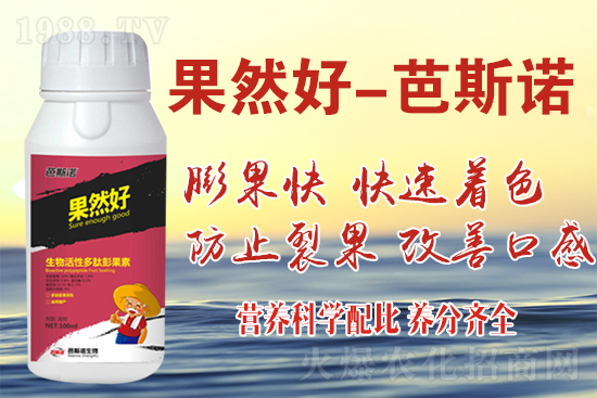 如何讓葡萄上色增甜、膨果更勝一籌？看懂這一招不用愁！