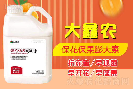 夏季保果膨大少不了，如何保果膨大？