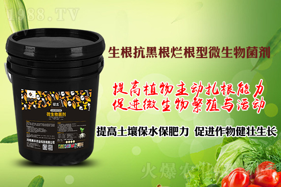 ����ڸ��������S�������l�l(f��)���á������p�ɽ�Q�����f�Nֲ�������ã�