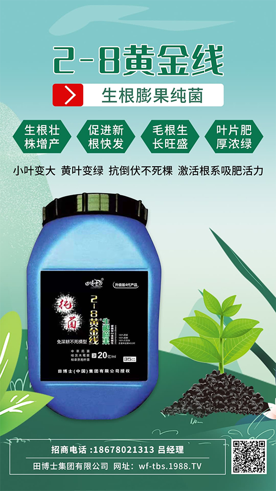 ���Ƿʵ��죬�f(w��n)�����L(zh��ng)����ϵ�����ﱬ�l(f��)����ԇԇ�@һ��! 