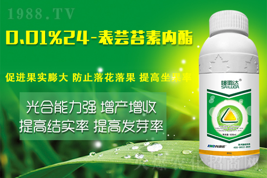 蕓苔素內(nèi)酯竟然有這么多作用！這樣搭配解決膨果增產(chǎn)難題！