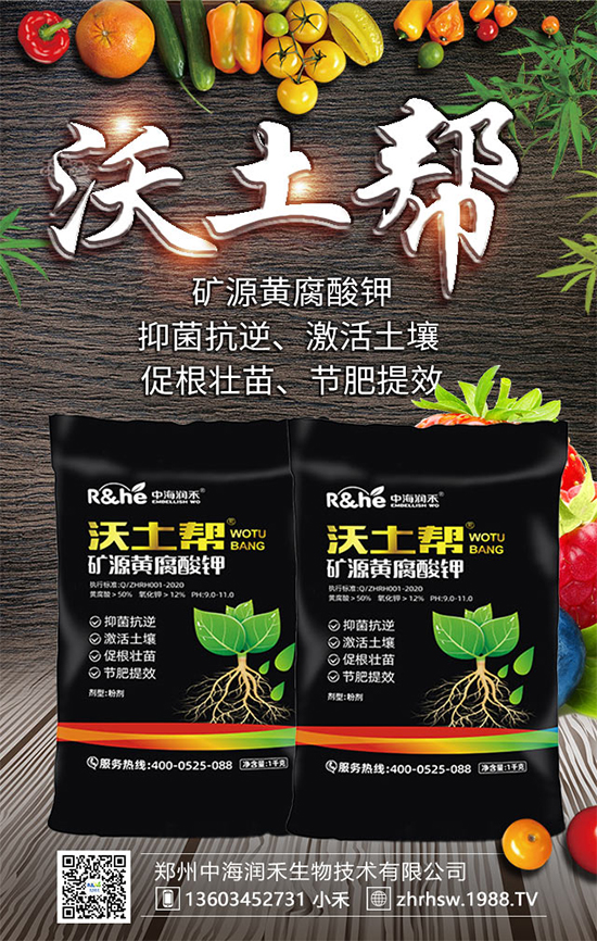 礦源黃腐酸鉀怎么用？放到地里幾天能看到效果？