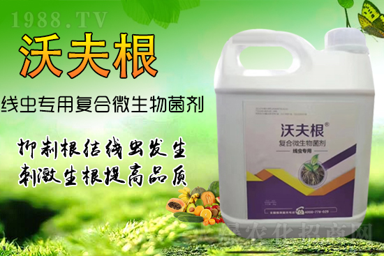 ���Y(ji��)���x��Ⱦ������������������������Ч����!