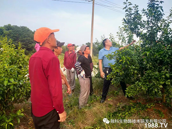 ���M(j��n)���g���^���������ٮa(ch��n)�I(y��)