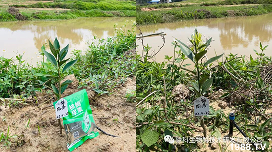 ���M(j��n)���g���^���������ٮa(ch��n)�I(y��)