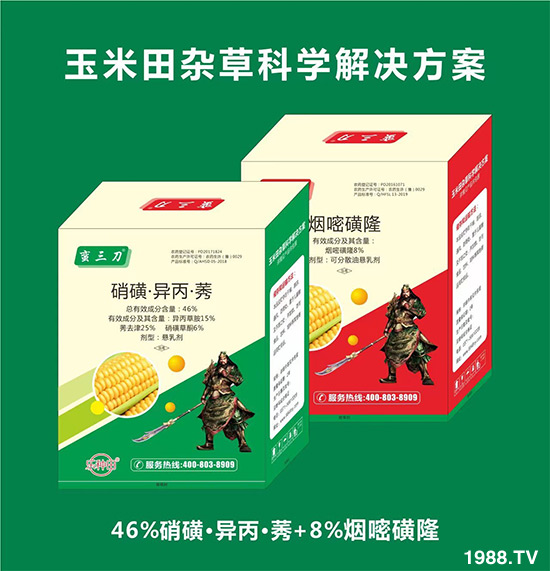     ���׻������ļ�����Ҫ�r(n��ng)�������Nֲ��e�����a(ch��n)������Ч��ã����s�ݷ��΅s���r(n��ng)������ʮ���^�����Ⱥ���ˎ�����ֺ��·���Ч�����á�