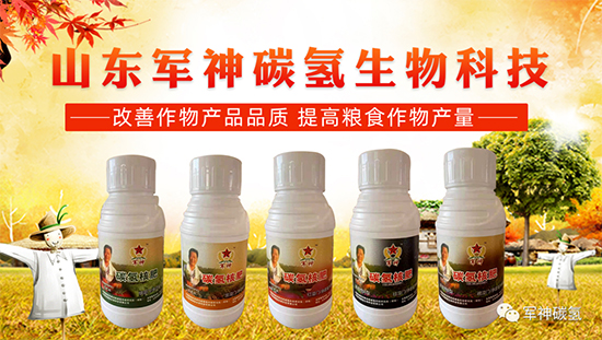 ɽ�|܊��̼?x��)�����Ƽ����޹��?6