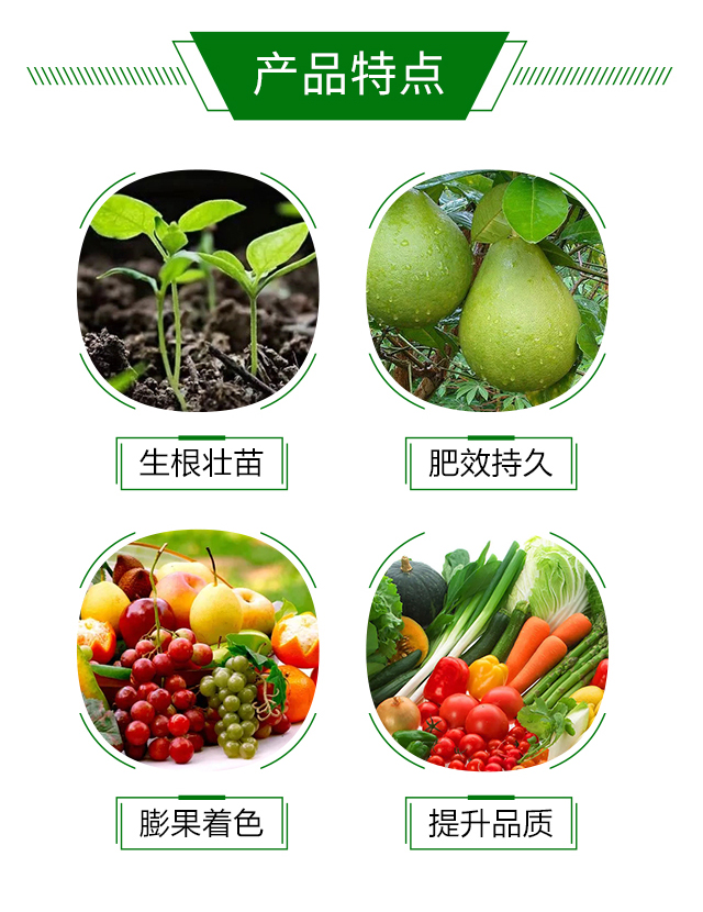 ������-���_(d��)�r(n��ng)�I(y��)_03