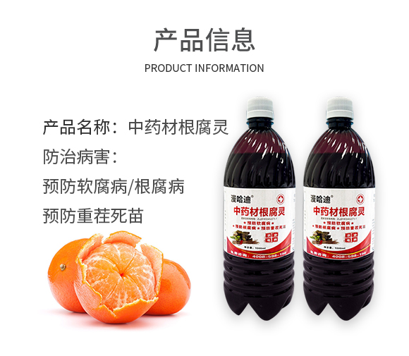 �����A�ź㶼�Ƽ�����؟(z��)�ι�˾-�ο�ֲ��(932593)_03