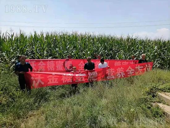     �@�����۷��r(n��ng)�YȦ������ԭ����Ȼ���ͳɱ��߷�Ч�_(k��i)��(chu��ng)����