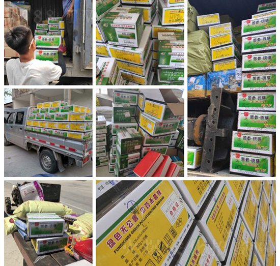 ��ֲ�ﰩ�Y-���������������������в�ˎ������������