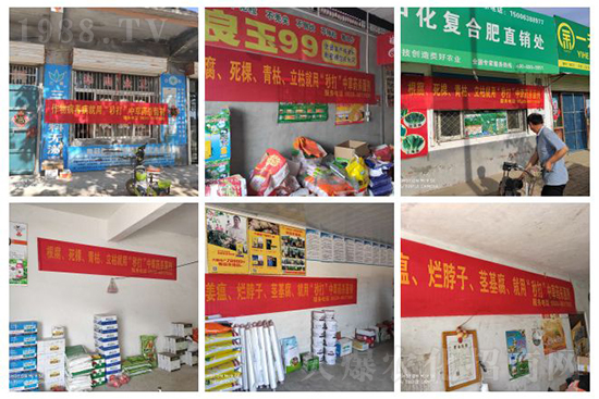 ��ֲ�ﰩ�Y-���������������ˣ����в�ˎ������������