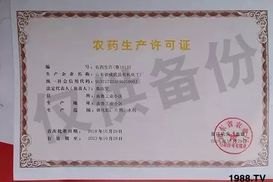 ��ֲ�ﰩ�Y-���������������������в�ˎ������������