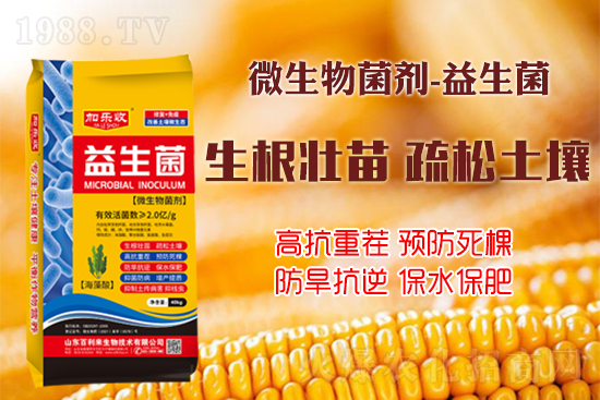 作物如何生根壯根、長勢更茂盛？學(xué)會這些事半功倍！
