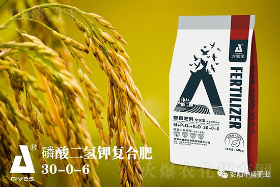 水稻分蘗不好對產量有多大影響？促進水稻分蘗怎么做？