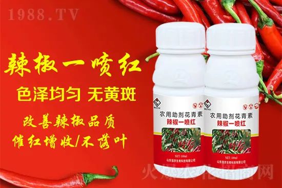 辣椒催紅增收專利產(chǎn)品！自然增紅零激素，色澤勻無黃斑