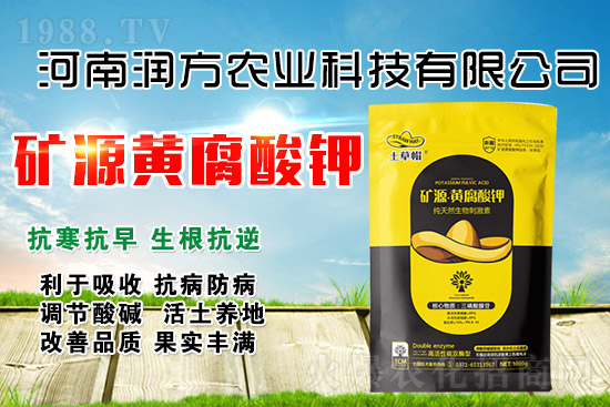 礦源黃腐酸鉀為什么牛？怎么用才能效果翻倍？