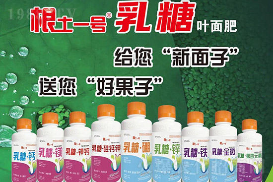 獼猴桃需肥特點有哪些？獼猴桃膨大肥怎么施