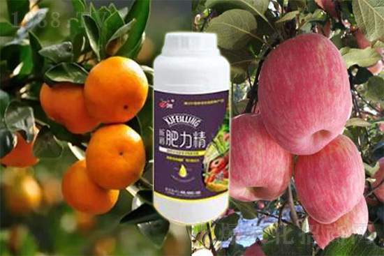 玉米追肥復(fù)合肥好還是尿素好？很多人都錯(cuò)了！它才是正確選擇