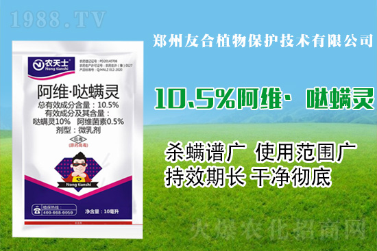  ���S���}���`��Ч����Щ�� ���S���}���`�ܷ�����Щ���x��