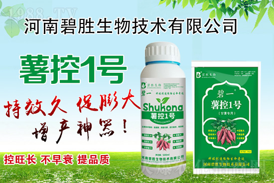 紅薯如何控旺？紅薯控旺有哪些措施？控旺產(chǎn)品怎么選？