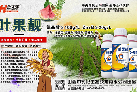     蘋果果個小是什么原因？解決對策有哪些？