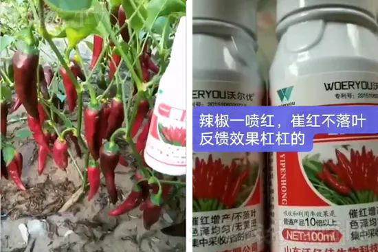 ���t�����95%���߼t�����~�����뷭�׷�����������һ���t��