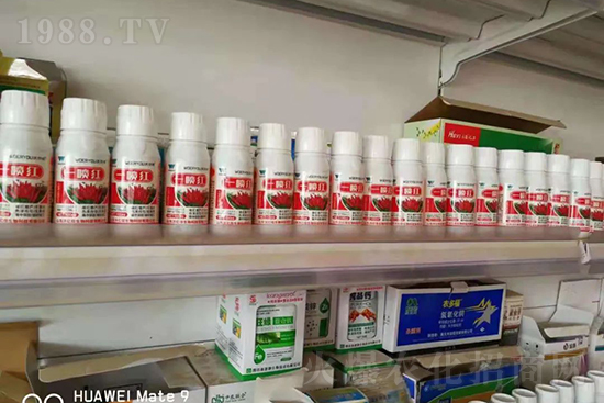 ���t�����95%���߼t�����~�����뷭�׷�����������һ���t��