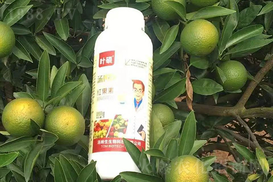 紅果素—只為轉(zhuǎn)色而生！轉(zhuǎn)色快、高，催紅不用愁！