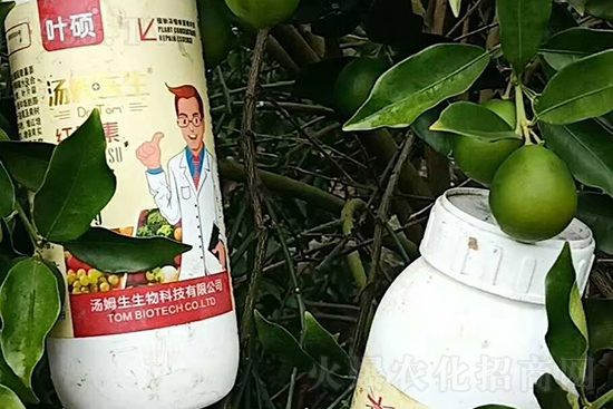 紅果素—只為轉(zhuǎn)色而生！轉(zhuǎn)色快、高，催紅不用愁！