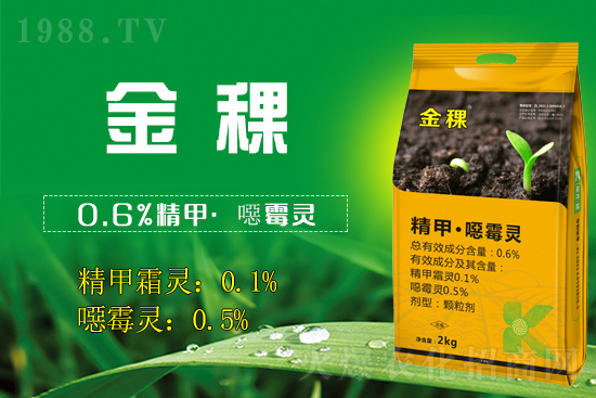 ���ս����(qi��ng)��(sh��)���v1988.TV���_���W(w��ng)�j(lu��)������������