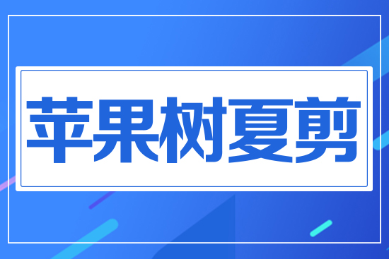 蘋(píng)果樹(shù)夏剪