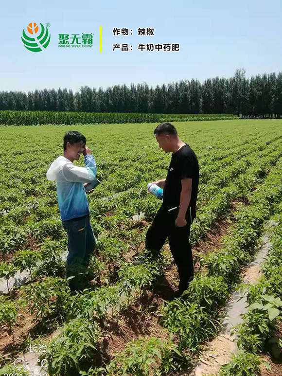 1kgţ����ˎ��-�۟o��2