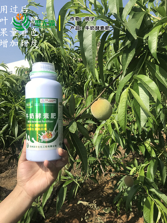 ţ�̽��ط�-�۟o(w��)��4