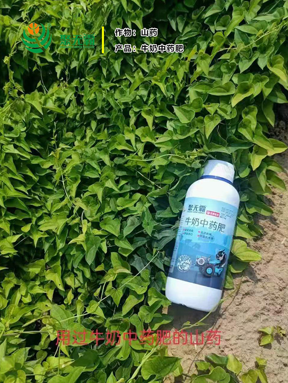 1kgţ����ˎ��-�۟o��3