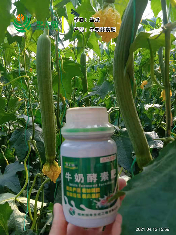 ţ�̽��ط�-�۟o(w��)��5