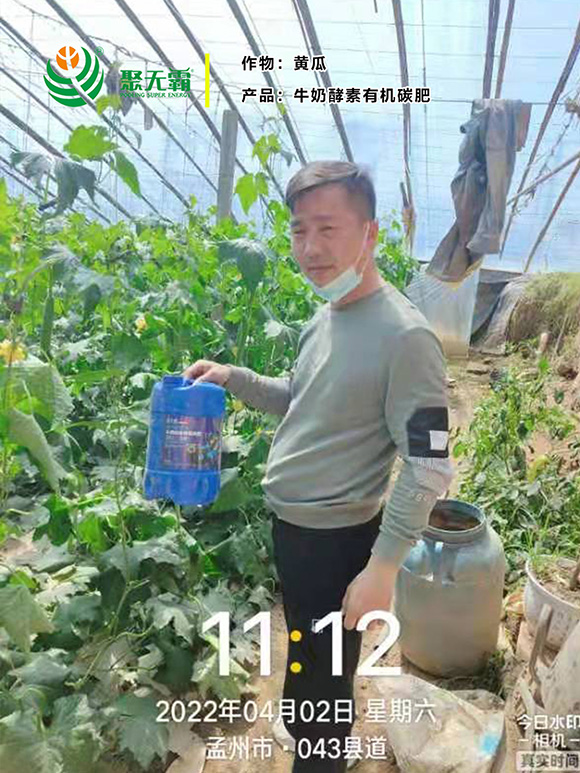 ţ�̽����ЙC̼��-�۟o��2