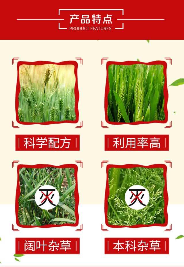 麥恬鏡-豐收樂(lè)_03