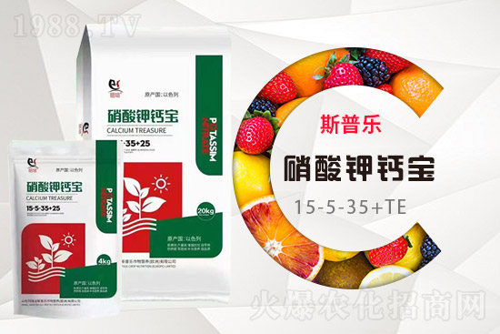 ˹�՘�����I(y��ng)�B(y��ng)�����u�����޹�˾3