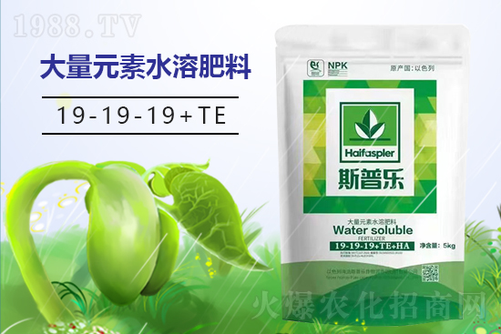 ˹�՘�����I(y��ng)�B(y��ng)�����u�����޹�˾4