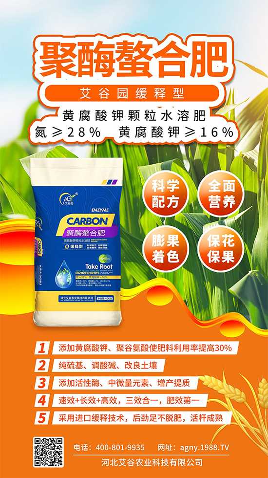 �ӱ������r�I(y��)�Ƽ����޹�˾4