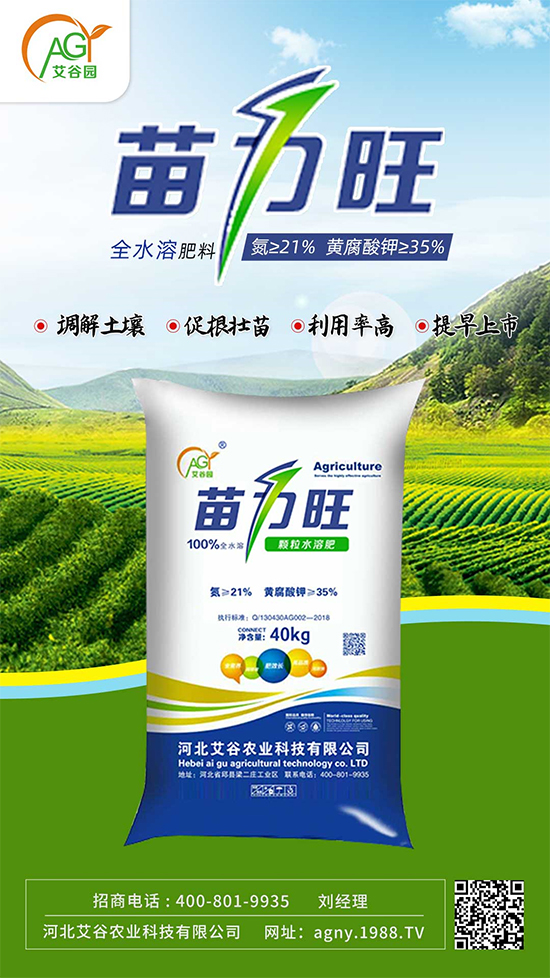 �ӱ������r�I(y��)�Ƽ����޹�˾12